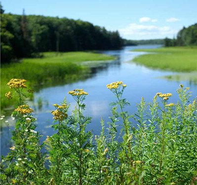Northwoods-Wisconsin