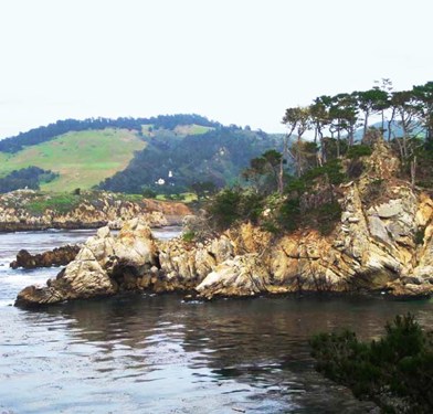 Point_Lobos_Natural_Reserve