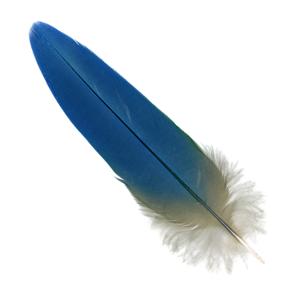 http://www.reneweveryday.com/assets/1/7/1b4dd9fdabe4493e8faceb4d902f8a6d1.jpg