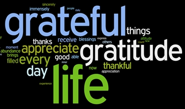 http://www.reneweveryday.com/assets/1/7/fbca042193364264a85df7507f5122681.jpg