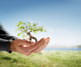 http://www.reneweveryday.com/assets/1/7/giving-back.jpeg