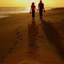 http://www.reneweveryday.com/assets/1/7/in-love-250x250.jpg