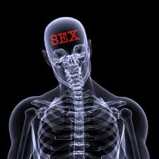 http://www.reneweveryday.com/assets/1/7/sex-on-brain.jpg